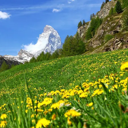 Apartment Dianthus-3 By Interhome Zermatt